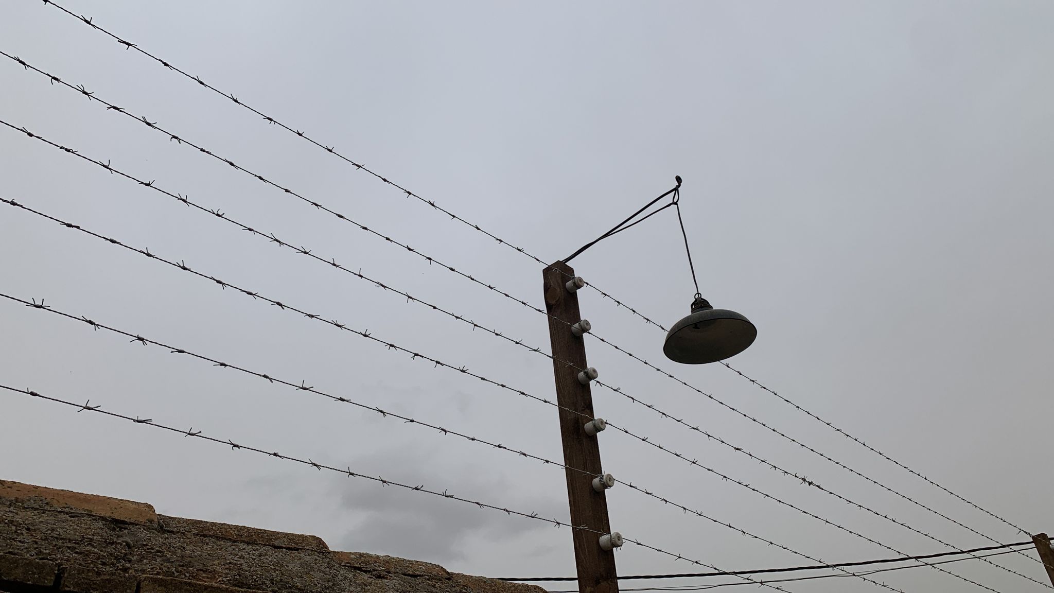 alambre de espino ficticio 30mts x rollo 8u.